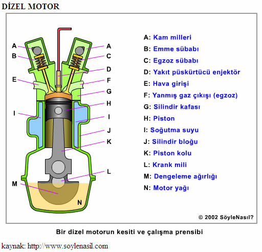 Dizel Motor